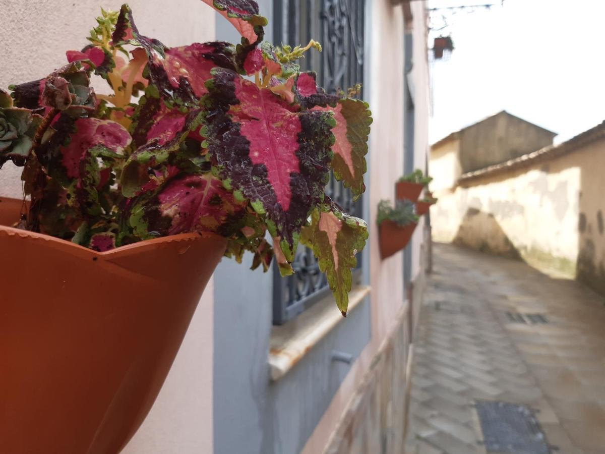 Appartamento Per Turisti Filoxenia Santa Severina Buitenkant foto